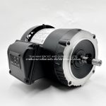 WEG - 3 Phase Squirrel Cage Induction Motors