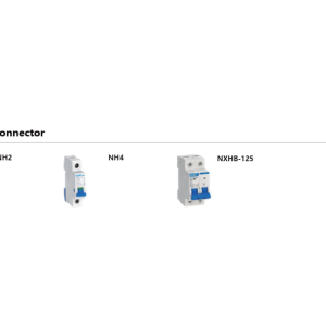 CHINT - Switch Disconnector (Modular DIN Rail Products)