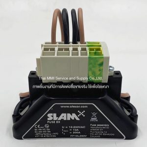 ATEXOR SLAM FUSE EX - FF10L250V