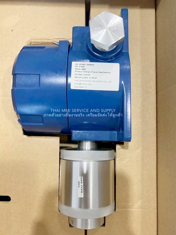 OLDHAM - Gas Detector iTRANS 2 1FA30
