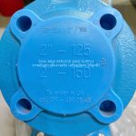 FLOWSERVE - Atomac strainer ASF