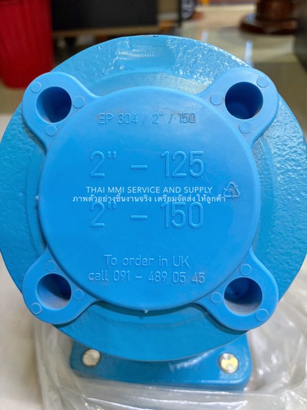 FLOWSERVE - Atomac strainer ASF