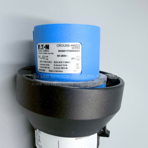 EATON CROUSE HINDS - GHG5117306R0001