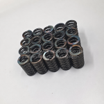 Compression Spring