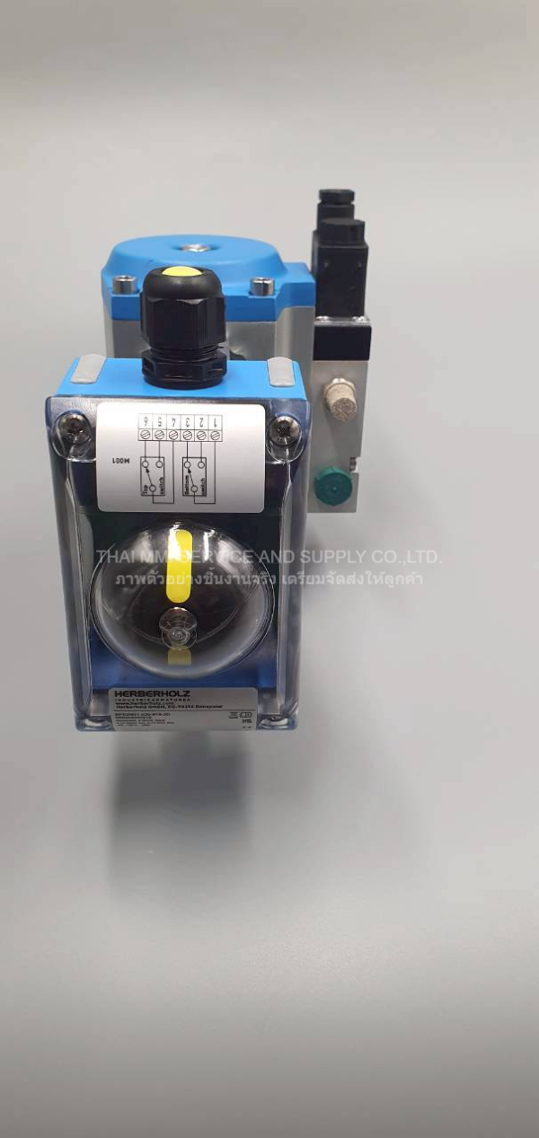Herberholz - Butterfly DF78/90-08-V17-E